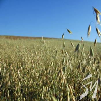 �� ������ � ������?